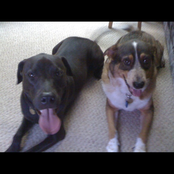 Meet your Posher, Kory - Picture 3 of 16